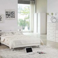 variante di insolita decorazione dello stile di una foto della camera da letto