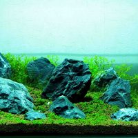 The idea of ​​the original design of a home aquarium photo