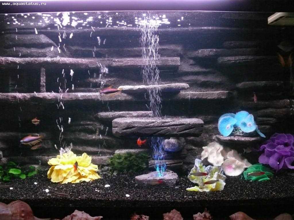 idea of ​​original aquarium decoration