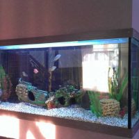 opcija svijetli ukras slike kuće akvarij