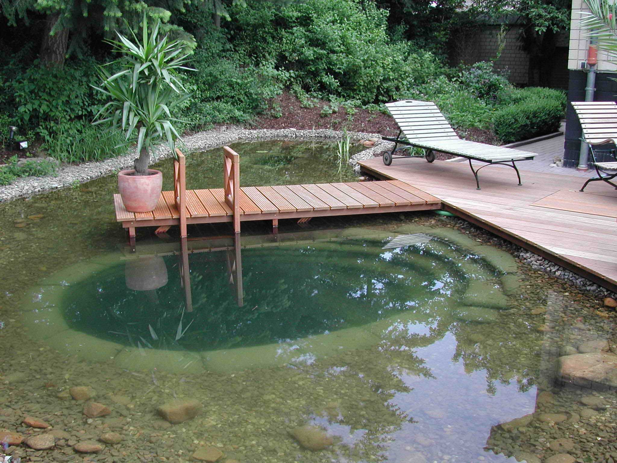ideja originalnog dizajna malog bazena