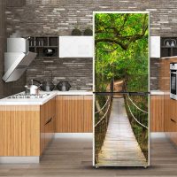 idea of ​​unusual design of the refrigerator picture