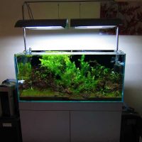 foto acquario design originale