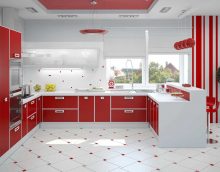 the idea of ​​the original interior of the kitchen picture