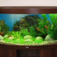 version of the original decoration of the home aquarium picture