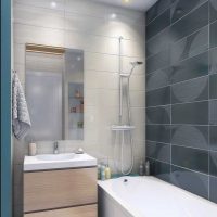 versione del design luminoso della foto da bagno di 2,5 mq