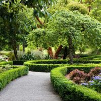 variante del paesaggio insolito della foto del giardino