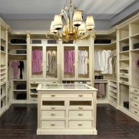 The idea of ​​a bright interior wardrobe photo