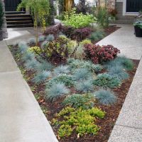 idea of ​​unusual landscape design