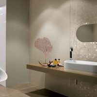 Un exemple d'un intérieur de salle de bain lumineux en couleur beige