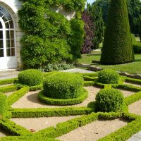 variante de l'aménagement paysager lumineux d'une cour privée photo