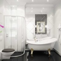 idea di un bellissimo bagno interno in foto in bianco e nero