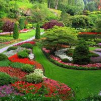 Variant of bright landscape design