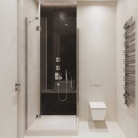 variant of the bright interior of the bathroom 3 sq.m photo