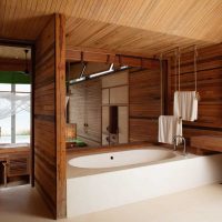 idea of ​​unusual style of a bathroom in a wooden house picture