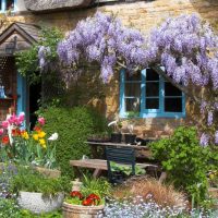 l'idea di decorare vivacemente l'immagine del cortile