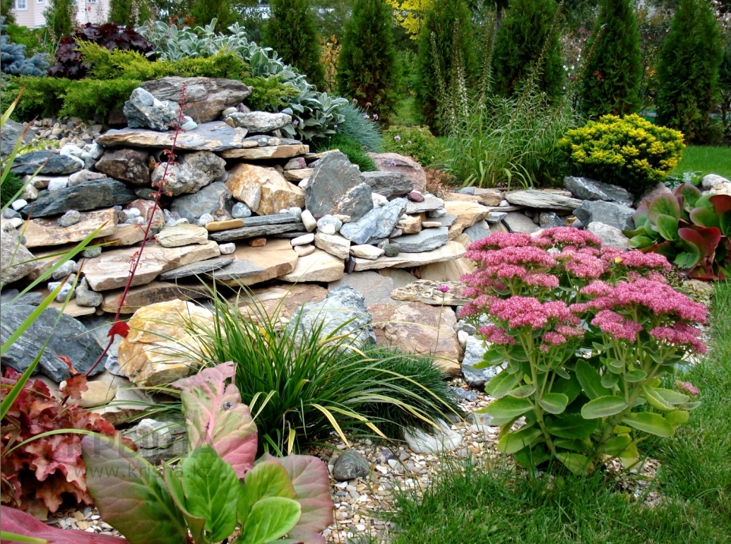 Un exemple de conception de paysage de jardin dynamique