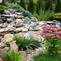 version of the unusual landscape design of a private courtyard picture