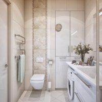 esempio di un insolito interno del bagno in una foto a colori beige