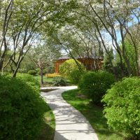 An example of the use of light plants in the landscape design of giving a photo