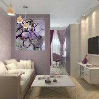 opcija svijetli stil dnevna soba spavaća soba 20 m² slika