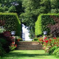 an example of the use of bright plants in the landscape design of a house picture