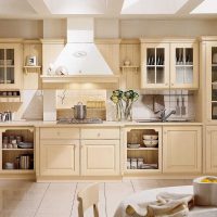 l'idea di utilizzare l'interessante beige nel design per la casa