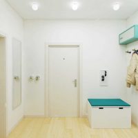 version du beau design d'une photo d'un appartement de deux pièces