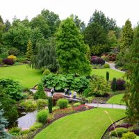 an example of the use of unusual plants in the landscape design of a house picture