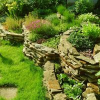 an example of the use of light plants in the landscape design of a house picture