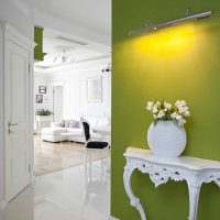 primjer korištenja zelene boje na svijetloj fotografiji dizajna stana