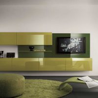 green use case in a light apartment design picture