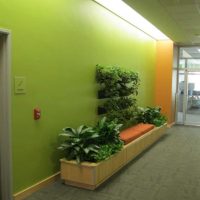 Primjer primjene zelene boje u prekrasnom dizajnu sobe