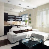 option bright style studio apartment picture