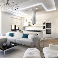 variante de décor lumineux d'un appartement de deux pièces photo