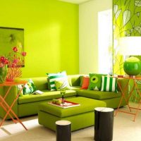 ideja primjene zelene boje u neobičnom interijeru fotografije apartmana