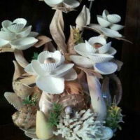 seashell decor ideas