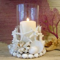 seashell decor