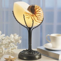 decor from shells lamp