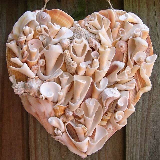 shell decor