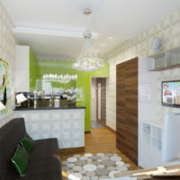 design of a small studio apartment photo