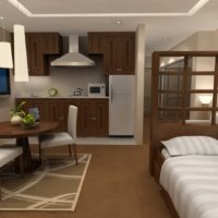 design of a small studio apartment interior