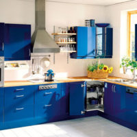 blue kitchen