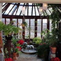 l'idea di utilizzare idee brillanti per decorare una foto del giardino d'inverno