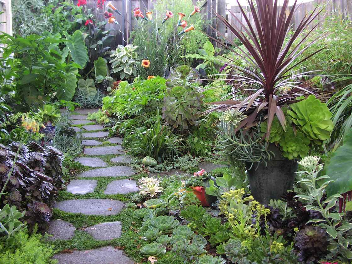 variant of the bright design of the front garden in a private courtyard