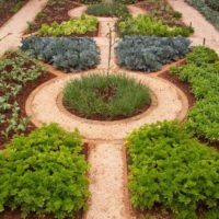 version of the unusual design of the garden in a private courtyard photo