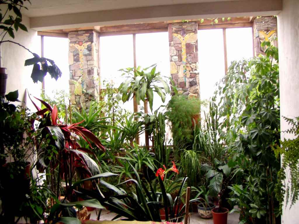 the idea of ​​applying beautiful ideas for decorating a winter garden