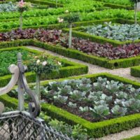 version of the bright decor of the garden in the country photo