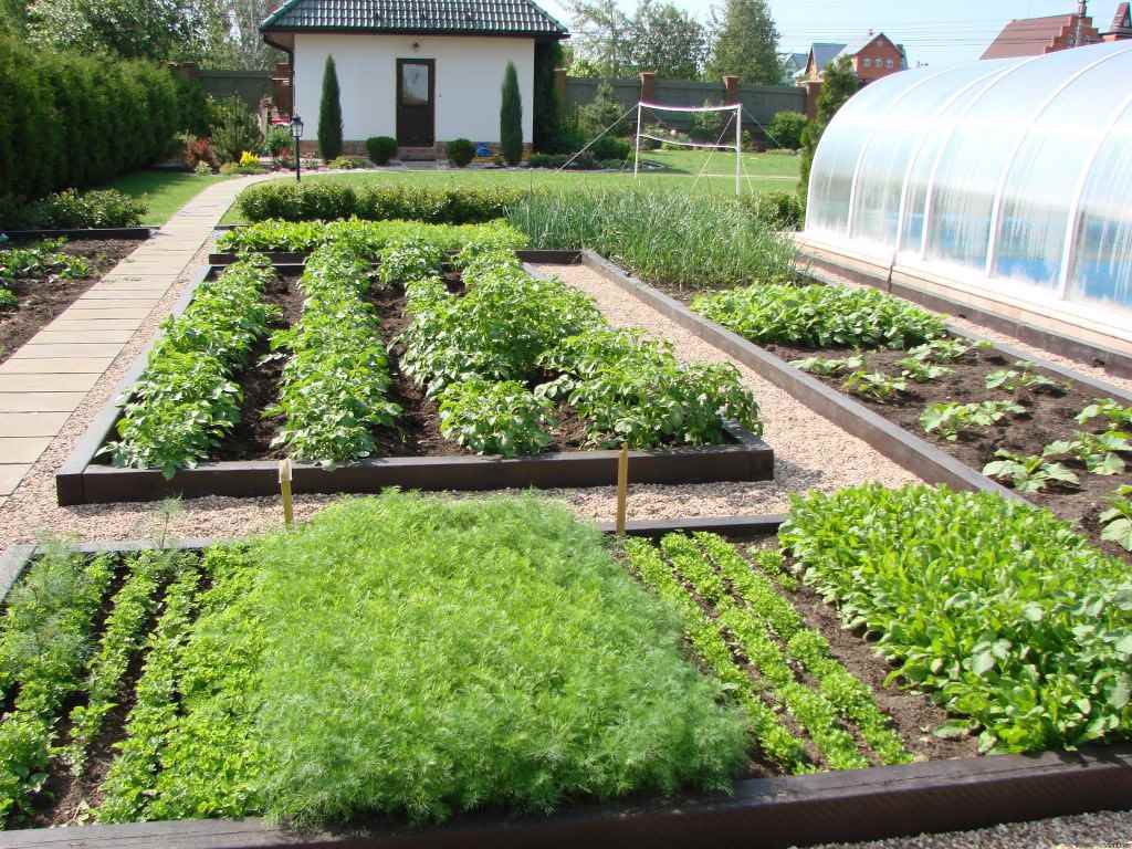 variante dell'insolito arredamento del giardino in un cortile privato