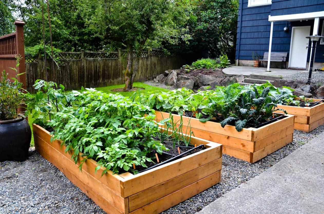 l'idea di un arredamento luminoso del giardino in campagna